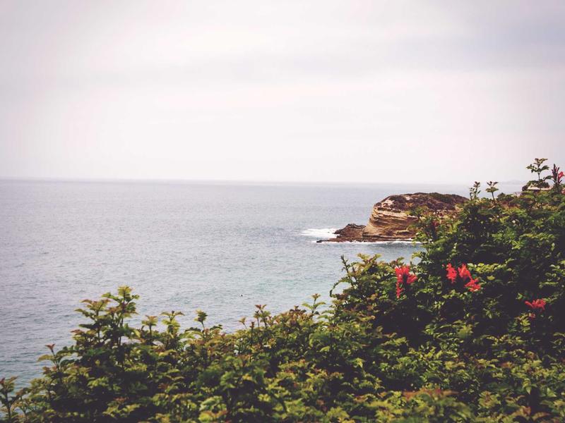 弥生会計 - 領収書 英語